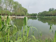 -大兴滨河森林公园