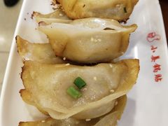 鲜肉锅贴-小姜锅贴(凤凰街店)