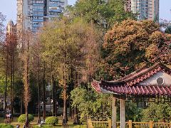 -晓港公园