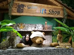 -济州岛泰迪熊博物馆