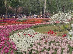 -国家植物园