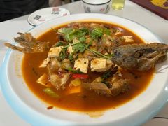 -煲来饱去冷水鱼