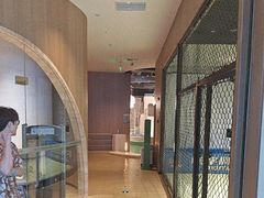 -涨巢·潮玩水疗局