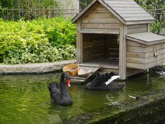 -行者书屋大堂吧 ·下午茶(南京圣和府邸酒店)