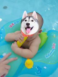 -Cool-Fun蓝鲸π水育早教中心(金山万达海汇街店)