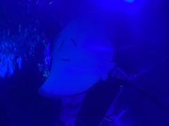 -江和美海洋公园