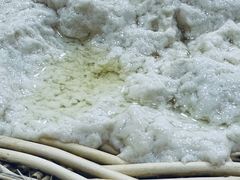 -青龙柳条豆腐(魁星路店)