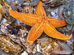 -富临港·蒸汽海鲜·手抓海鲜·炒菜(栈桥店)