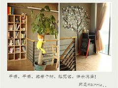android_upload_pic-新沙洞咖啡(泉乐坊店)