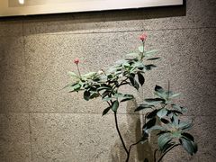 -王府茶宴(大观园总店)