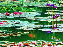 -国家植物园南园