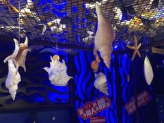 -鱼非鱼(徐家汇店)