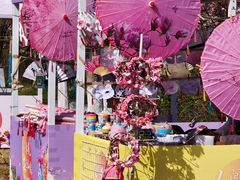 -江苏三台山国家森林公园