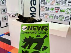 -福田卓悦INTOWN购物中心