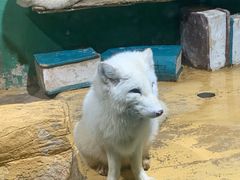 -大连圣亚海洋世界