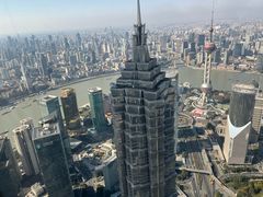 -上海柏悦酒店·世纪100牛排馆