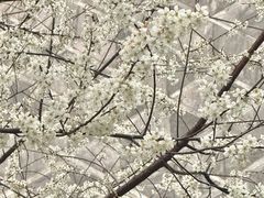 -成都银泰中心in99