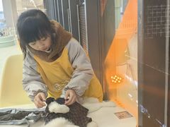 -怪兽屋·羊驼·猫咖·狗咖(俊华广场店)