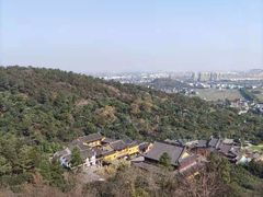 -树山生态村