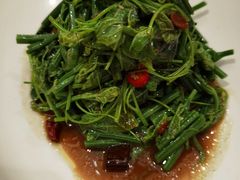 虫草花拌菠菜-徽州小镇(高新店)