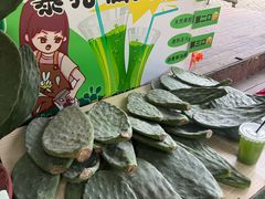 -莫里热带雨林景区