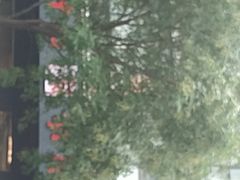 -方中山胡辣汤(西安高新区店)
