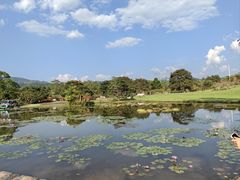 -中国科学院西双版纳热带植物园