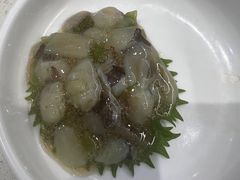 -京樽回転寿司(奥林匹克店)