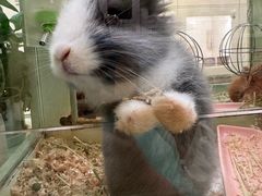 -龙猫仔乐园(惠福东路店)