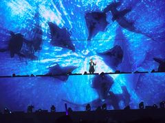 -梦之蓝青奥体育公园体育馆