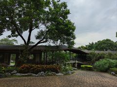 -顺峰山公园