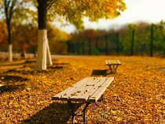 -永定河休闲森林公园