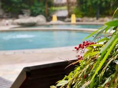 -雅安楠水阁温泉酒店