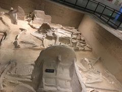 -洛阳周王城天子驾六博物馆