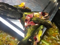 -香坝坝鲜鱼火锅(春熙路店)