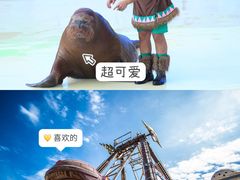 -三亚海昌梦幻海洋不夜城