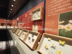 -四川宋瓷博物馆