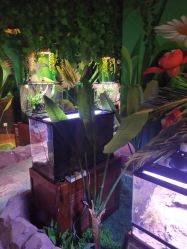 -酷嗒动物文化乐园(cutezoo西溪乐天城店)