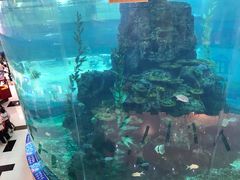 -鸿通城购物中心