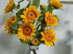 -双季花艺园艺市场(浦东店)