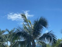 -粤菜王府·海鲜·茶市·海景餐厅(大梅沙店)