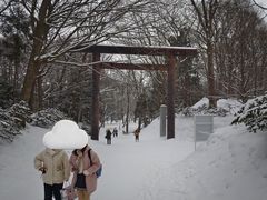 -北海道神宫