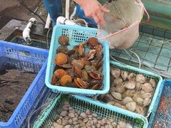 -霞涌市场海鲜摆卖区