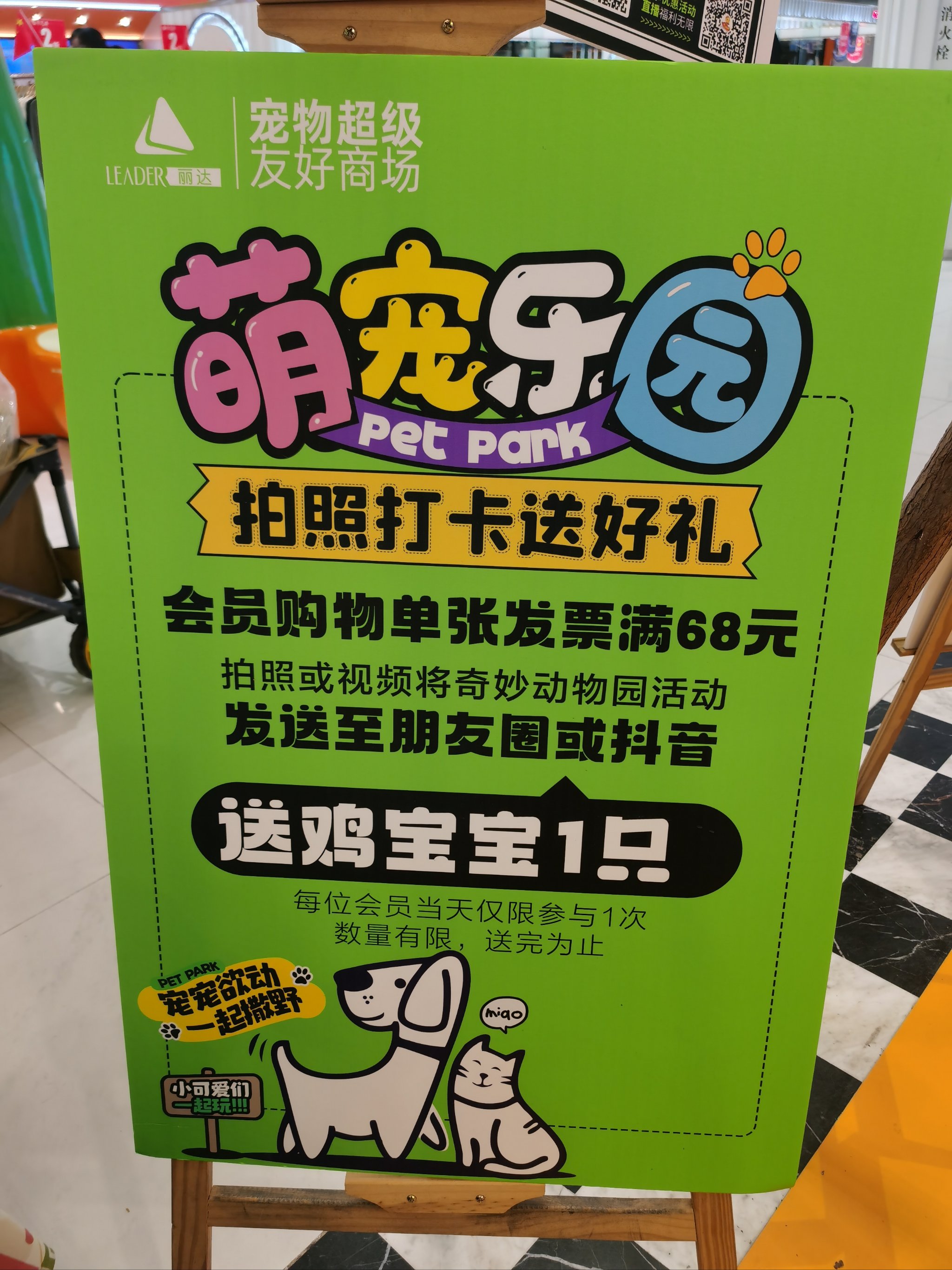 宠物乐园项目简介图片