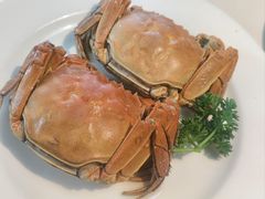 清蒸大闸蟹-映像威海·威海宴(威高广场店)