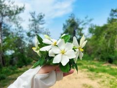 -青龙山国家森林公园
