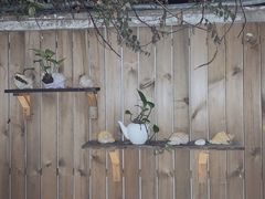 -甜阿姨·天台花园私房菜(万松园店)