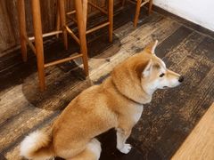 -三目仓咖啡(贤南路店)