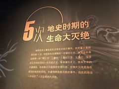 -呼和浩特博物馆
