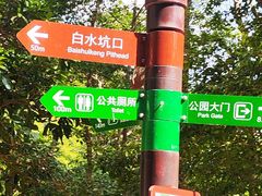-海南热带雨林国家公园吊罗山景区